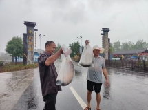 梁平终于下雨了，看我们在丰收节现场淋得够…毛坯人生，精装朋友圈的背后