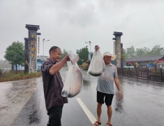 梁平终于下雨了，看我们在丰收节现场淋得够…毛坯人生，精装朋友圈的背后