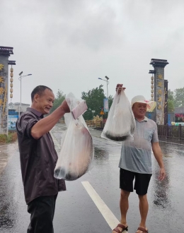 梁平终于下雨了，看我们在丰收节现场淋得够…毛坯人生，精装朋友圈的背后