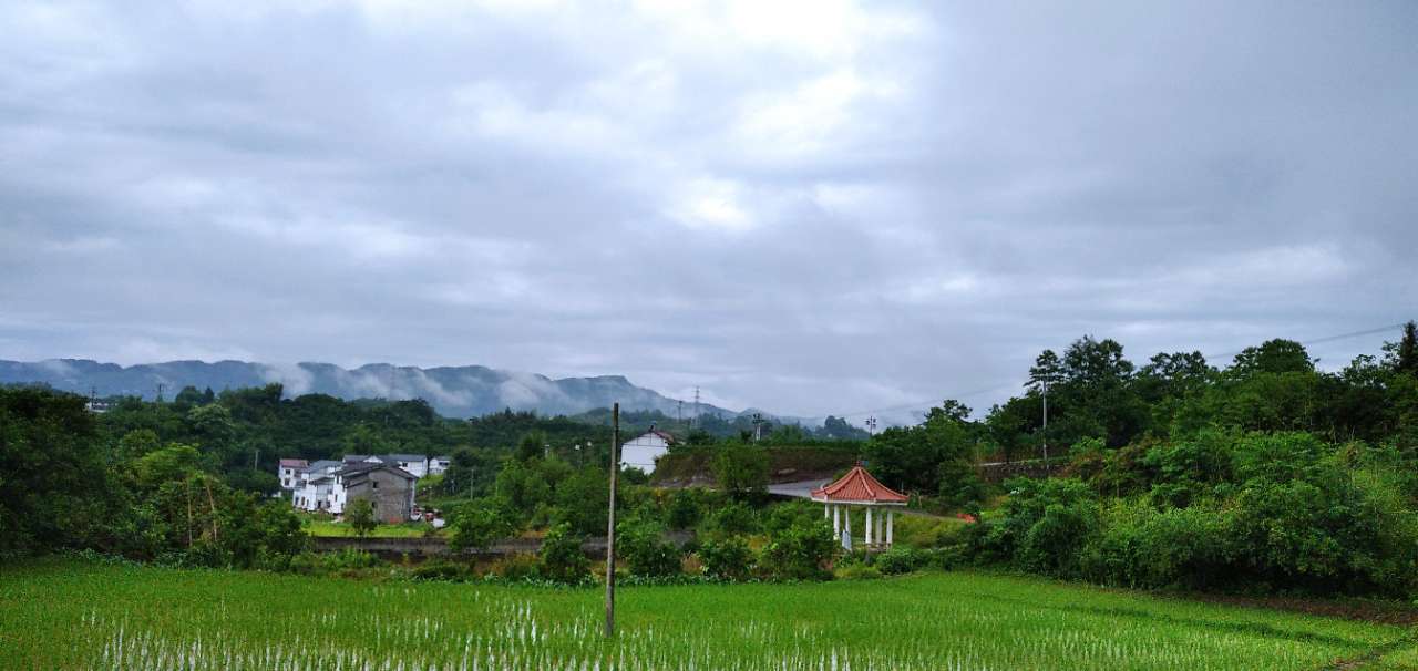 雨后的梁平乡村真的很美,环境优美空气好.