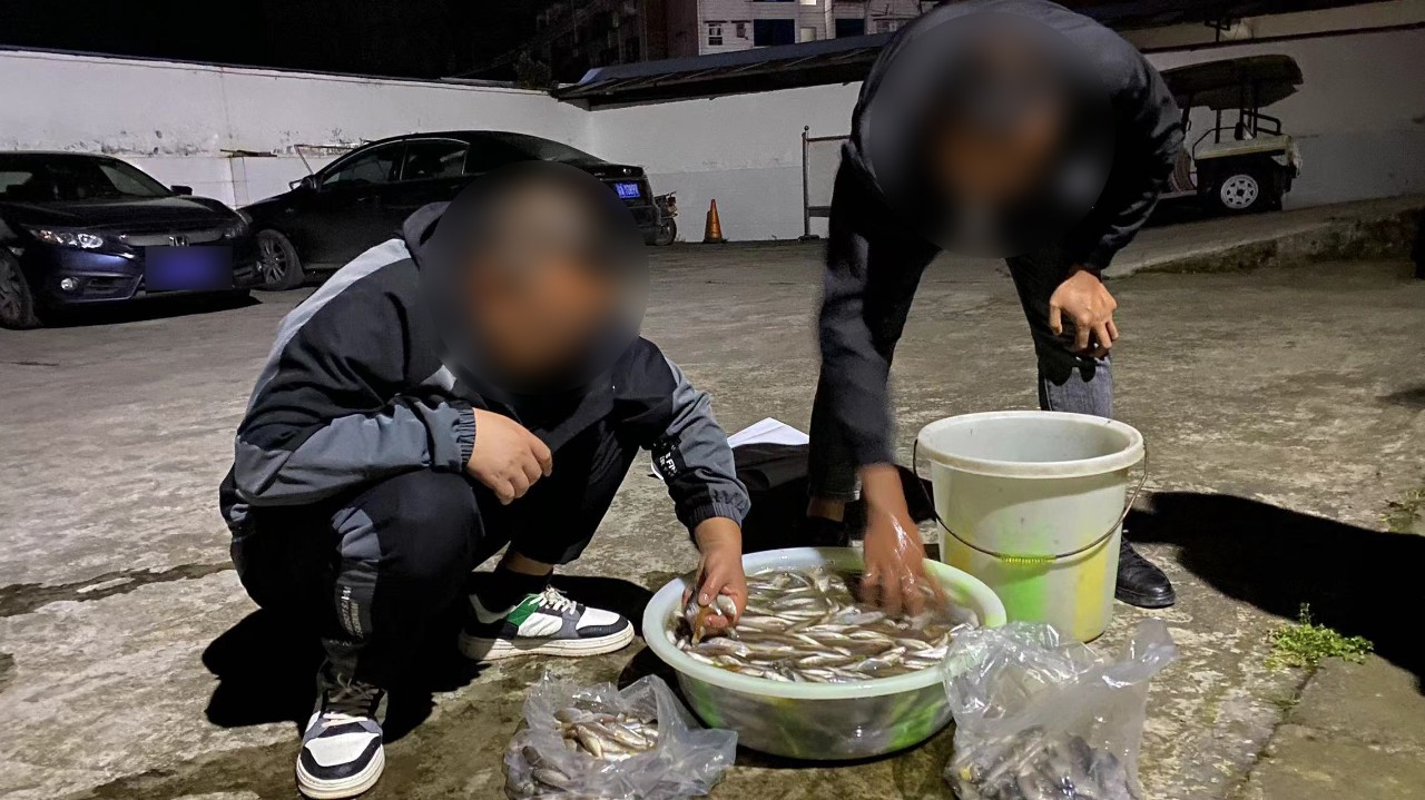 一晚电鱼600多条！3名“捕鱼达人”因涉嫌非法捕捞水产品罪被警方采取刑事强制措施