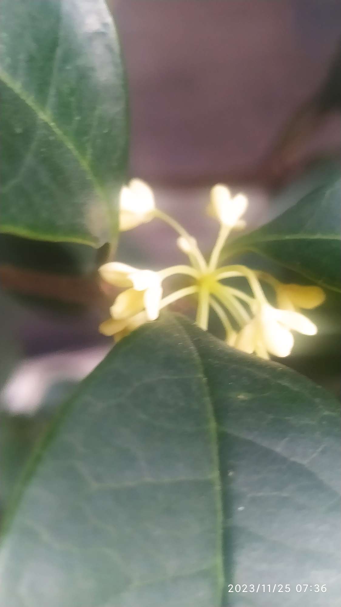 风水一说，您信吗？