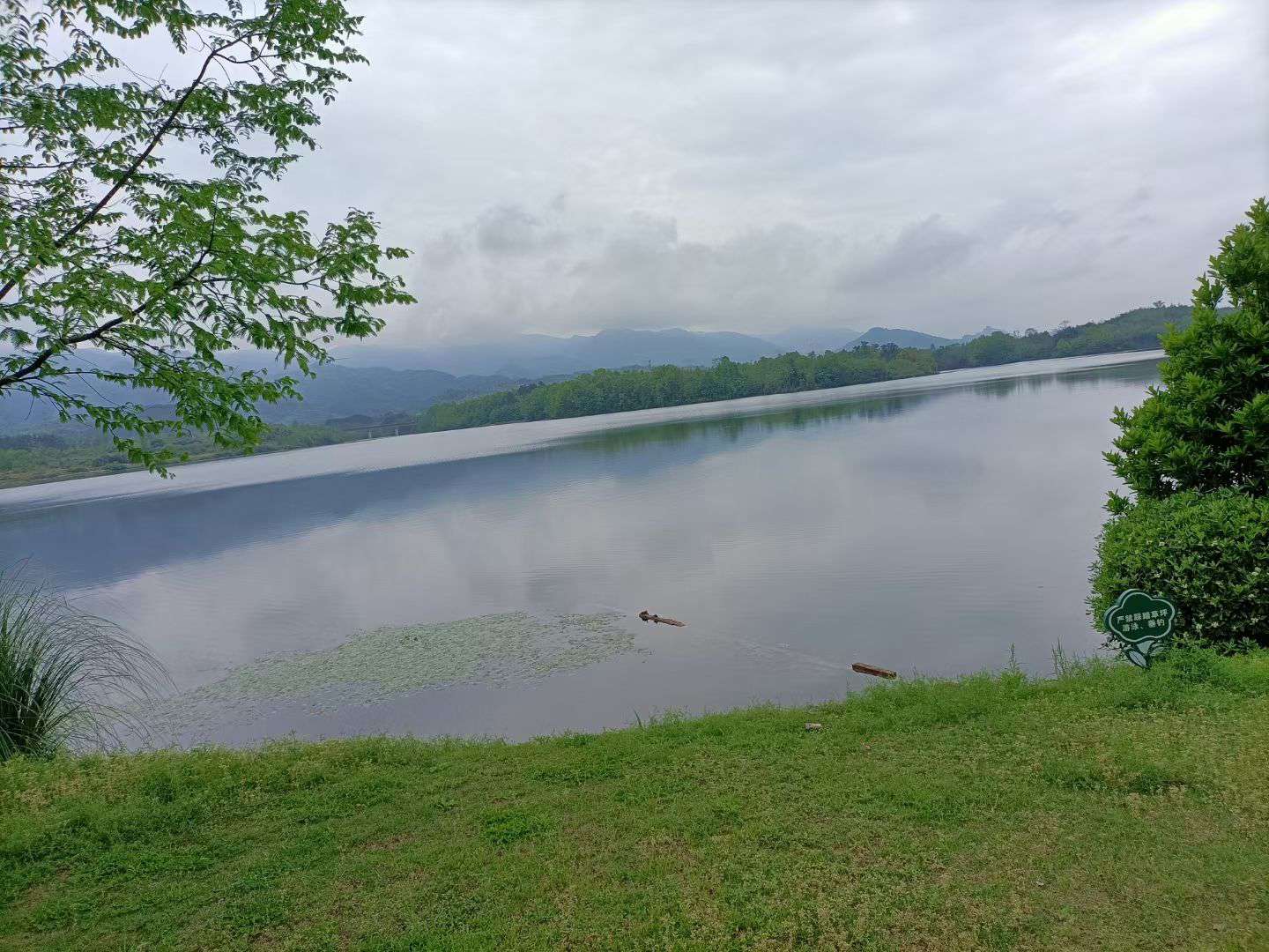 双桂湖风景