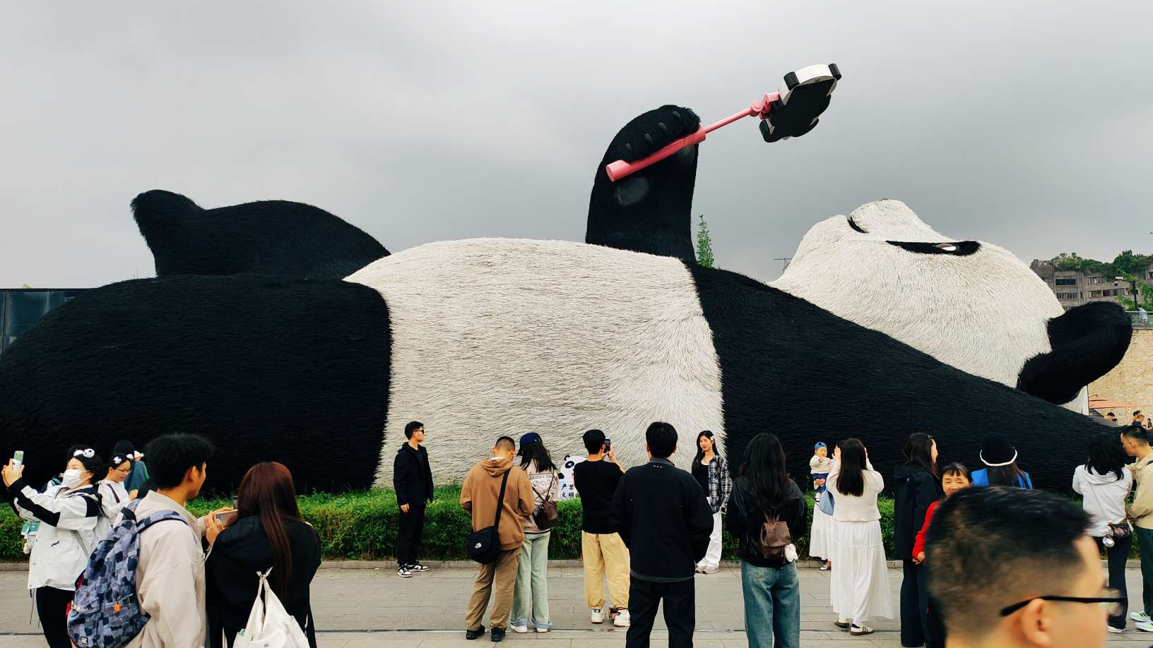 超大型的熊猫