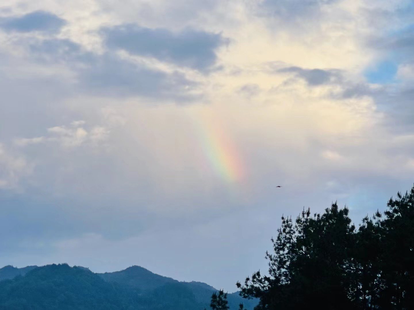 雨后见彩虹