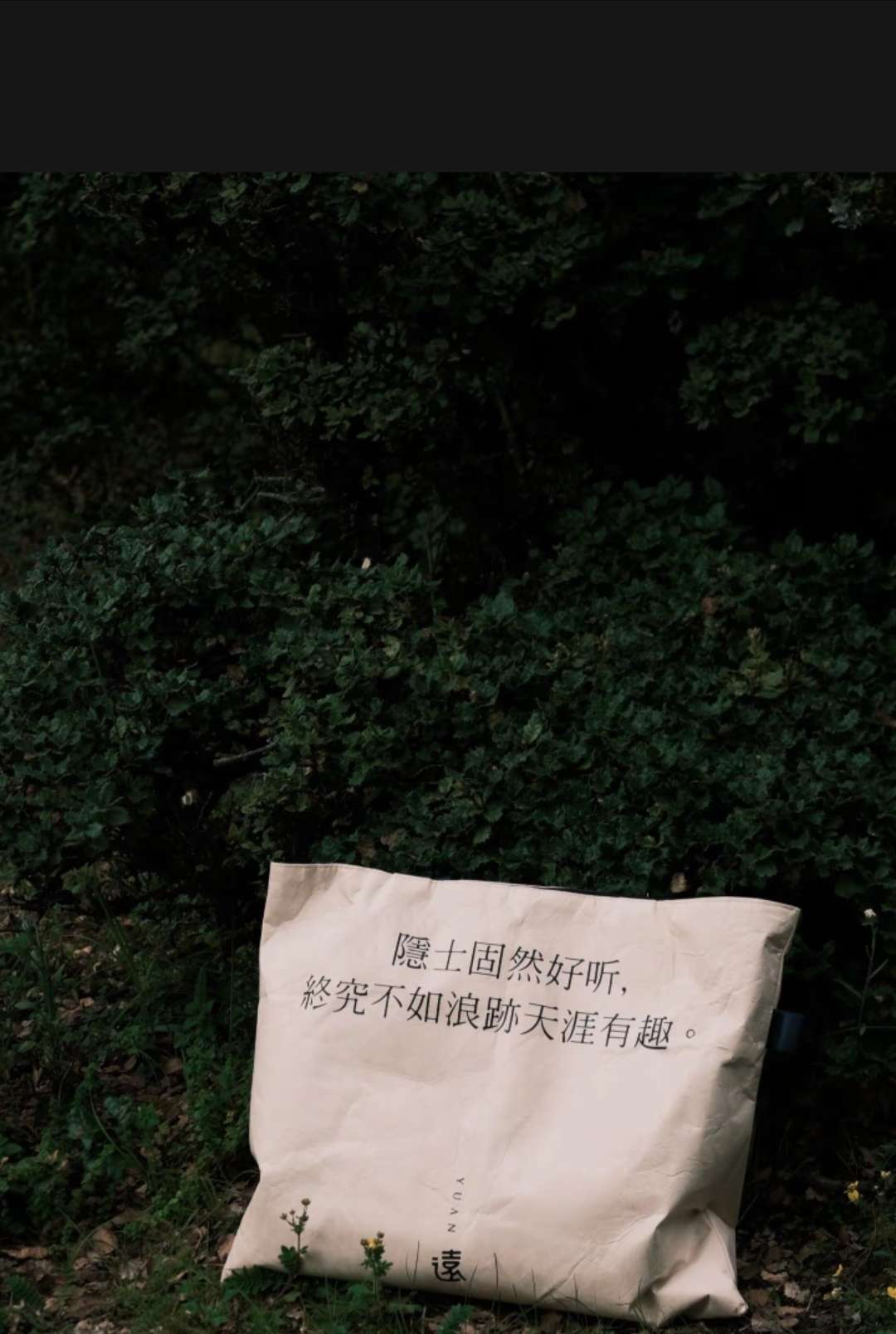 又到了大理苍山检菌子的季节，山里人喜欢往山里跑。