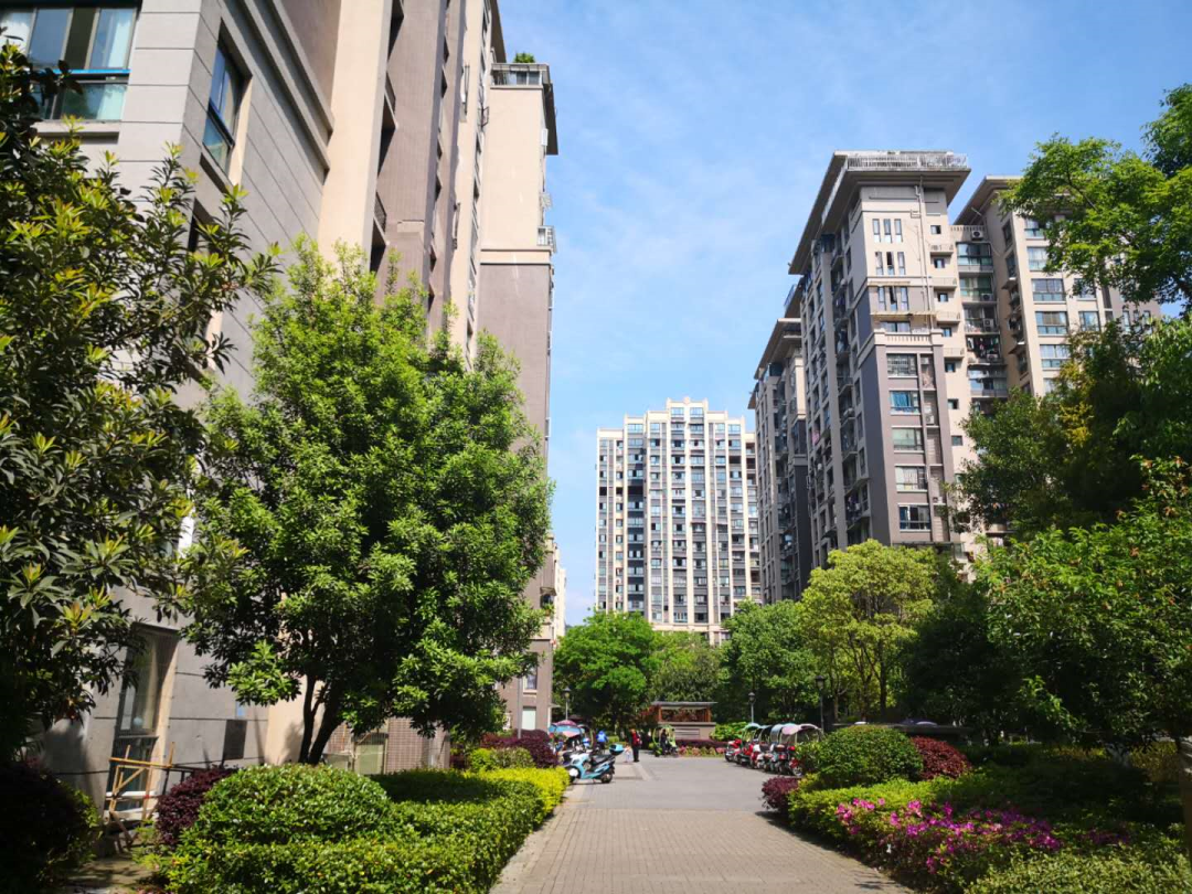 重庆各小区可以不要物管实行 业主"自治"了! 你怎么看?