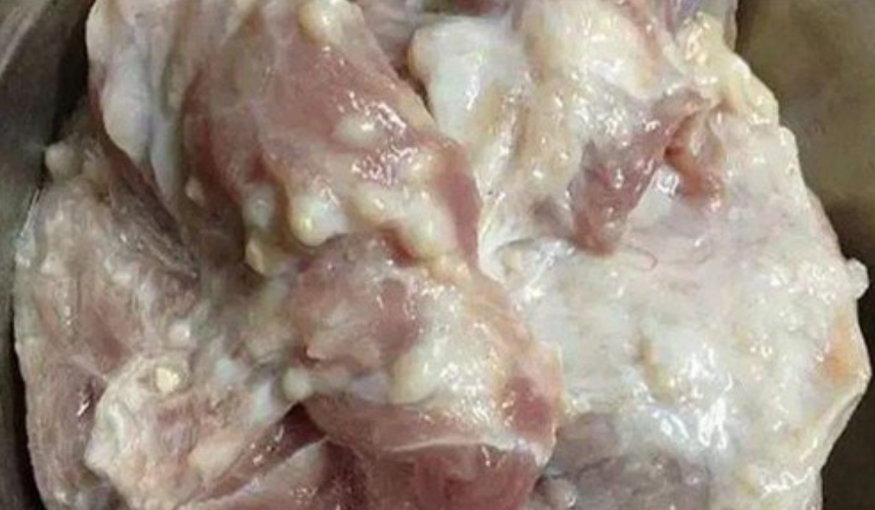 梁平这个猪肉老板坑熟,卖给我一坨淋巴肉