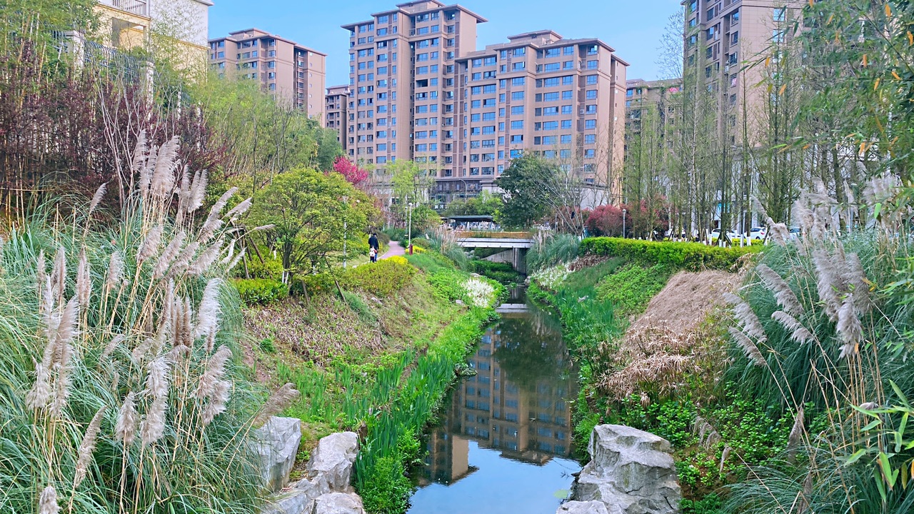 南泊湾旁的湿地河域风景真不错!