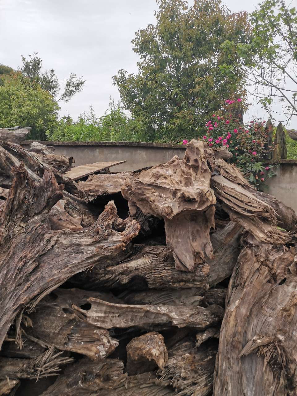 堆这么多木头是打算当材烧嘛,绑硬的,还七形八状