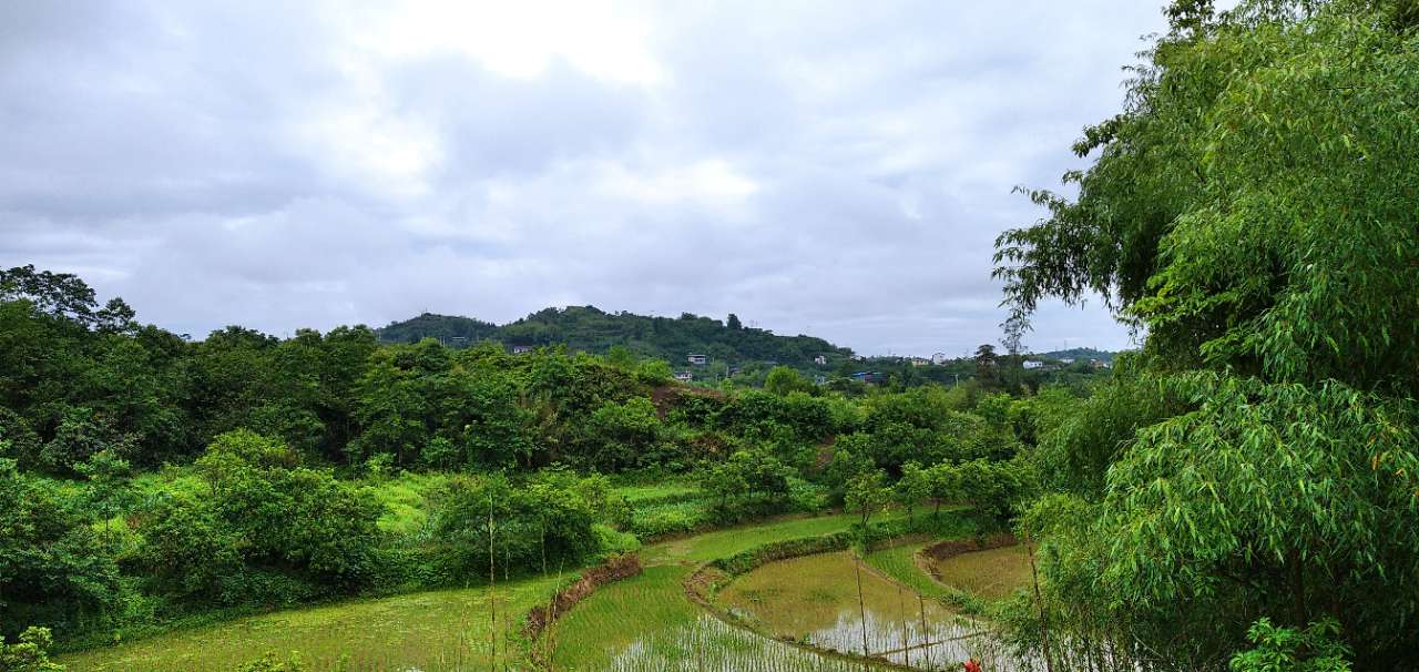 雨后的梁平乡村真的很美,环境优美空气好.