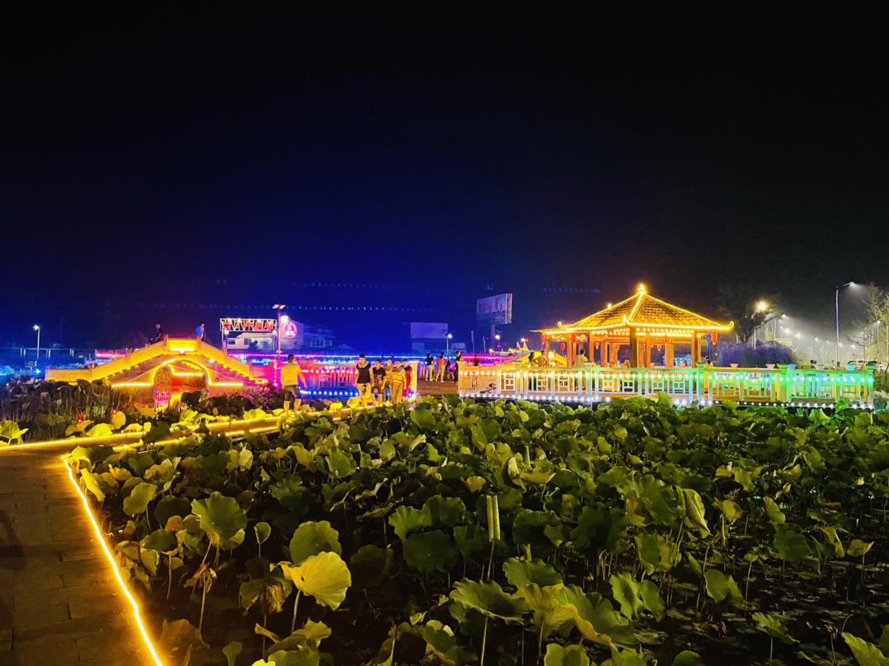 梁平这里有个"豪华邮轮夜游荷塘"项目邀你体验