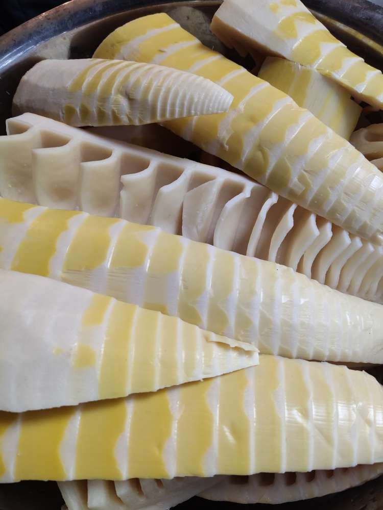 梁平竹笋几百种,您喜欢吃哪种?哪几种?